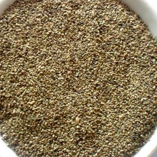 中药材芹菜子 药芹籽 新货保证质量 500g克包邮