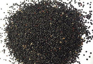 中药材青葙子 狗尾花巴籽、牛尾巴花子、土鸡冠子、500g克包邮