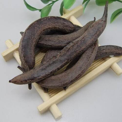 皂角其他猪牙皂其他11
