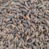 香附子 包邮 香附 雀头香500克 香头草 中药材