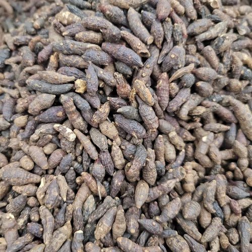 中药材 香附子 香附 香头草 雀头香500克  包邮