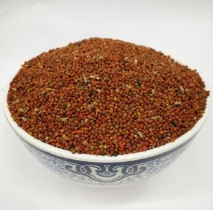 褚实子中药材 楮实籽褚实楮实米楮实楮桃构树果构树子500g克包邮