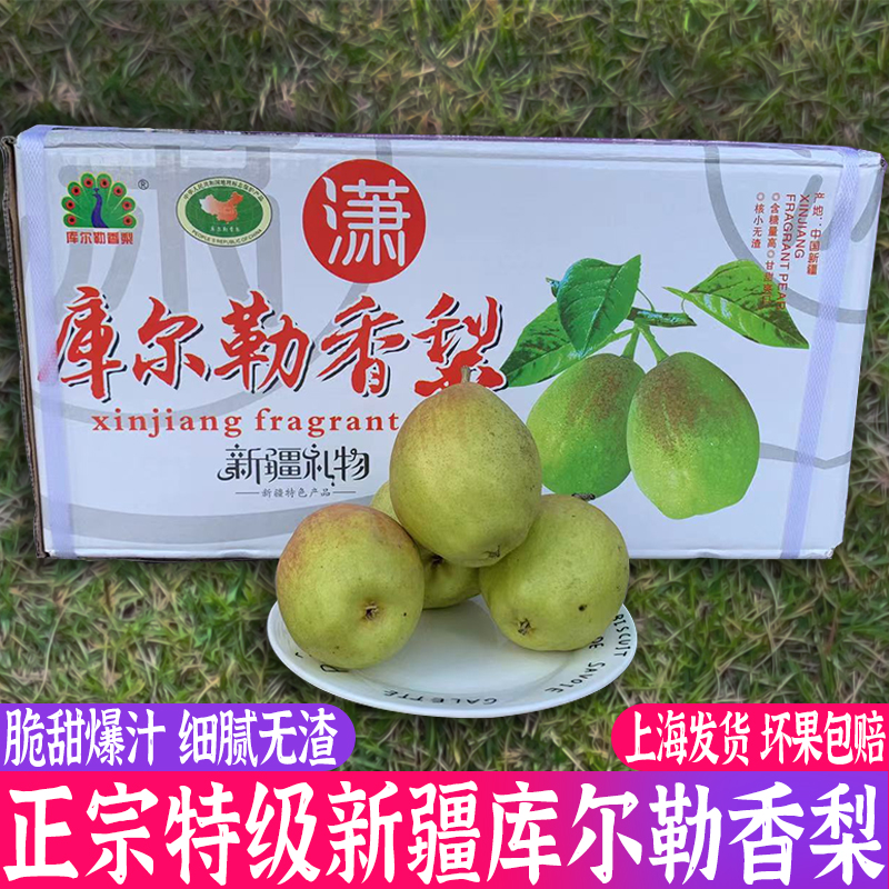 Xinjiang Western Xiang Fei Pear Korla Pear Gift box packaging 12 fresh pregnant woman fruit Season Pearsin the Aquatic meat/Fresh fruits and vegetables/Cooked , Fresh fruit , Pear  category - from Buy2taobao.com to provide professional Taobao agent buy service