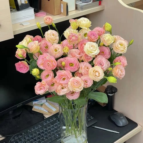 A级过生日洋桔梗鲜花花束礼物