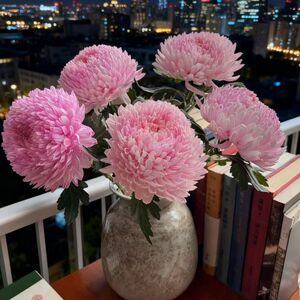 牡丹菊真花鲜花家庭水养鲜切插花