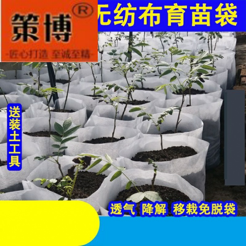~工具袋育苗钵牢固宽度加厚果树移栽苗木植物一次性大号植树营养 Изображение 1 ~工具袋育苗钵牢固宽度加厚果树移栽苗木植物一次性大号植树营养 Изображение 1