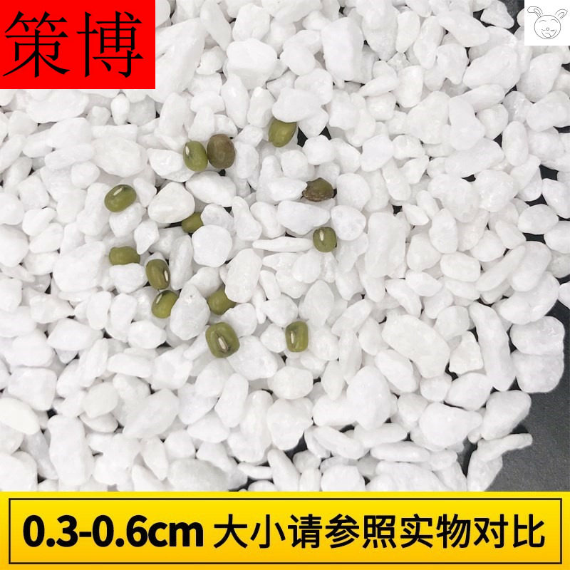 鹅卵石头白色小石子家居玻璃花瓶水池铺垫多肉盆栽小盆栽花瓶装饰|ruв категории доставка цветов/цветок моделирования/растения садоводства, садовых принадлежностей, других садовых принадлежностей - от Buy2taobao.com для оказания профессиональной услуги покупки агента Taobao