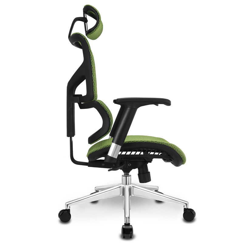 Ergomax ALX 电脑椅子护腰人体工学椅家用电竞椅办公椅老板椅转椅在类目 住宅家具, 坐具类, 椅类, 电脑椅中 - 来自Buy2taobao.com提供专业的淘宝代购服务