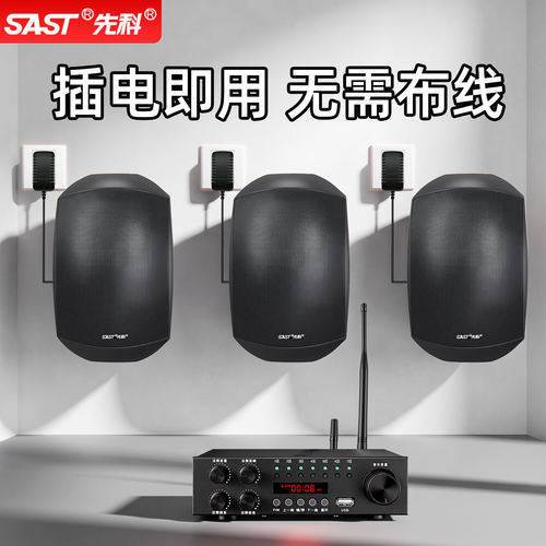 先科壁挂蓝牙音箱二分频高保真