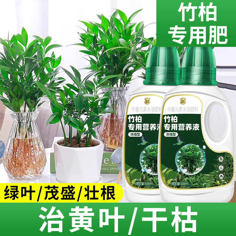 竹柏营养液花肥治黄叶烂根驱蚊草水培植物专用肥料室内盆栽兴旺竹