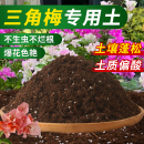 三角梅专用营养土家庭园艺土盆栽通用泥土种植花卉绿植培养土肥料