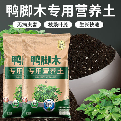 鸭脚木专用土鸭爪木鸭掌木营养土