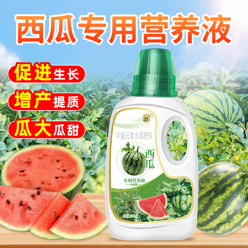西瓜营养液西瓜专用肥增甜增产西瓜苗叶面生根壮苗水溶肥料营养肥