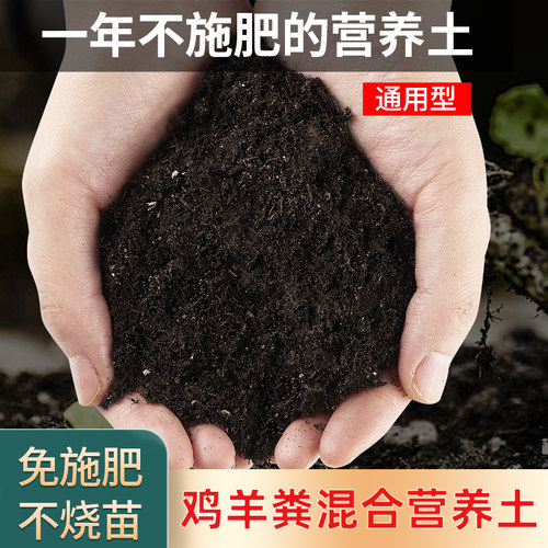 免施肥营养土肥土养花种菜通用型
