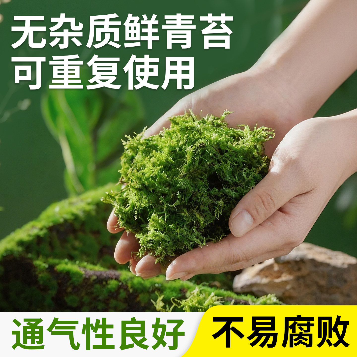 幸悦青苔蝴蝶兰专用植物营养土图片