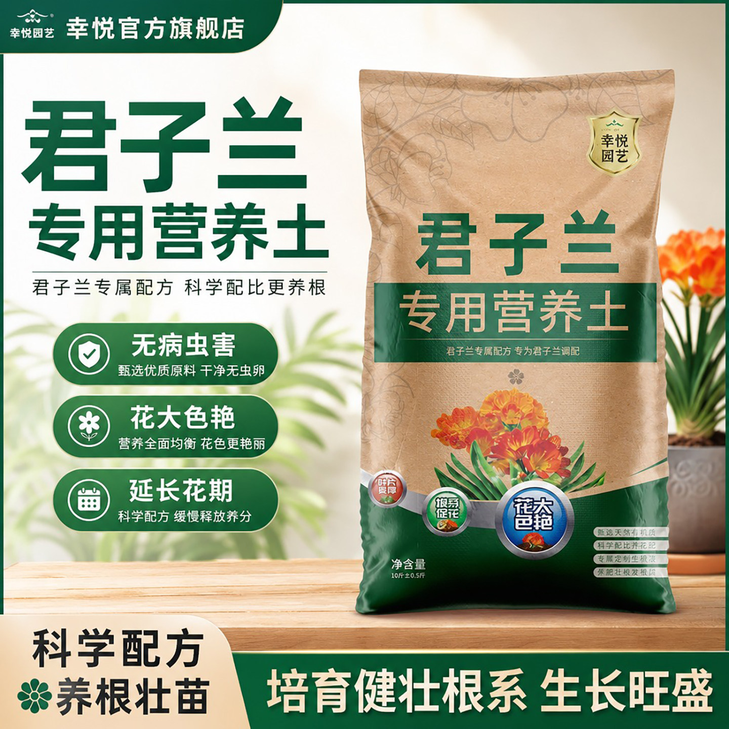 君子兰专用土花土养君子兰专用营养土肥料栽种盆栽土专用肥换盆土