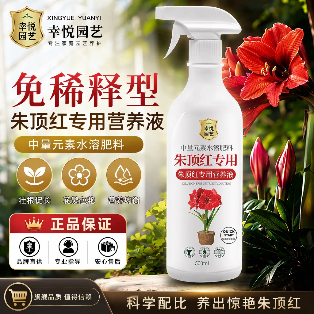 朱顶红营养液种球肥料开花朱顶红专用肥免稀释液体肥水溶肥图片