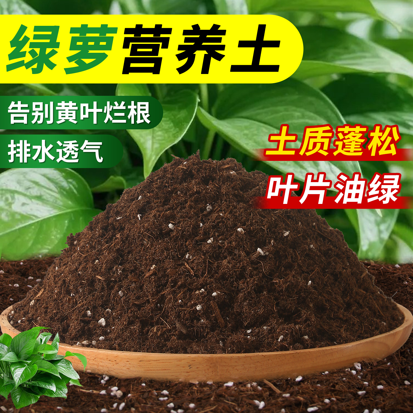 种养绿萝专用土养花种花通用营养土壤家用水培植物泥土盆栽花卉土
