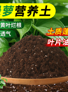 种养绿萝专用土养花种花通用营养土壤家用水培植物泥土盆栽花卉土