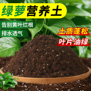 种养绿萝专用土养花种花通用营养土壤家用水培植物泥土盆栽花卉土
