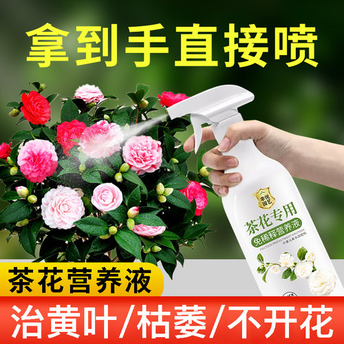 茶花专用营养液免稀释四季山茶花专用肥酸性肥料开花液叶面肥