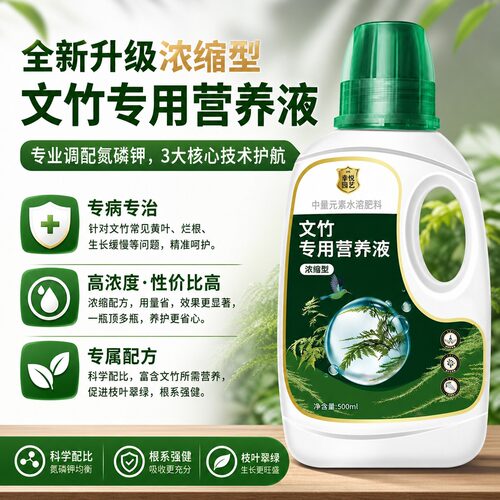 文竹专用营养液文竹专用肥料花肥