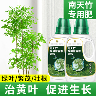 南天竹营养液花肥治黄叶落叶火焰南天竺专用肥料水培营养水溶肥