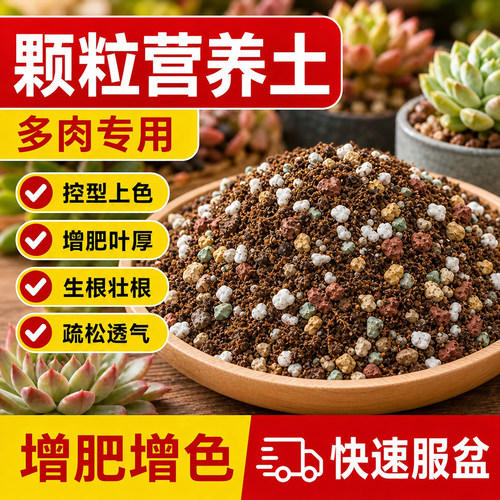 多肉专用颗粒营养土疏松透气