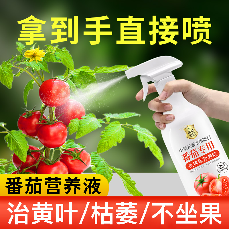 番茄营养液小番茄专用肥料圣女果西红柿结果肥料叶面肥液体水溶肥