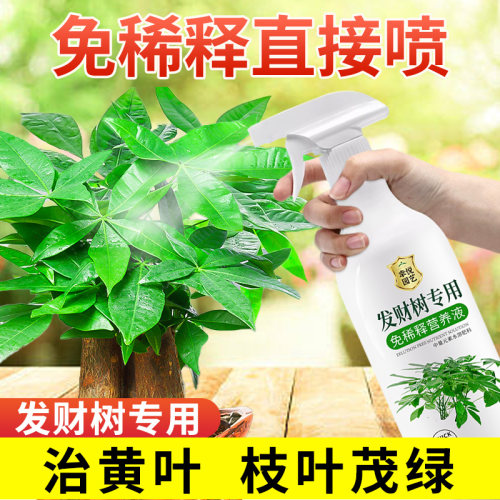 发财树免稀释营养液直喷即用