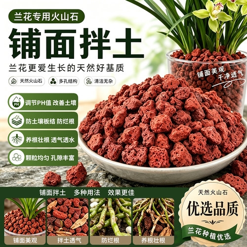 园艺植物兰花多肉专用火山石