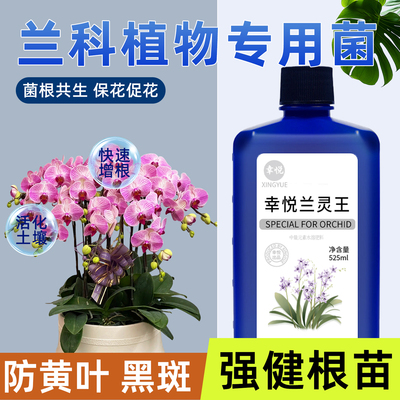 幸悦兰灵王兰花专用营养液肥料蝴蝶兰君子兰陵王科多箭素杀菌药