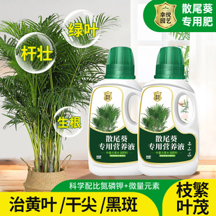 散尾葵专用营养液花肥叶子发黄凤尾竹专用肥料夏威夷竹富贵椰子肥