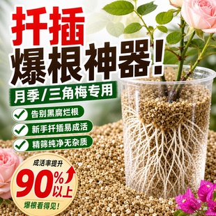 园艺蛭石颗粒扦插养花专用多肉发根育苗天然蛭石拌土基质精筛颗粒