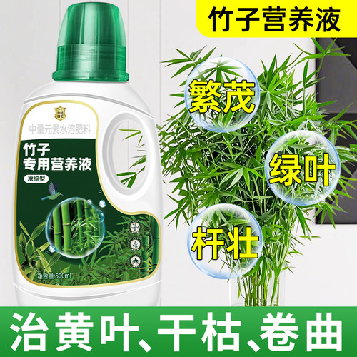 竹子专用营养液治叶子发黄佛肚竹红观音竹内门竹罗汉竹水培米竹肥