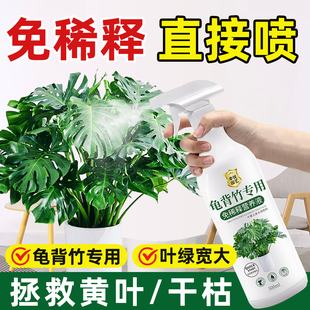 龟背竹营养液叶子发黄锈斑龟背竹专用肥料水培叶面肥液体肥专用土