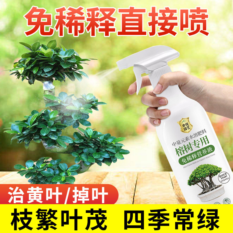 榕树专用营养液肥料金钱榕人参榕小叶榕盆景免稀释叶面液体水溶肥,鲜花速递/花卉仿真/绿植园艺,家庭园艺肥料,淘宝优惠券,粉丝福利购,淘宝优惠卷