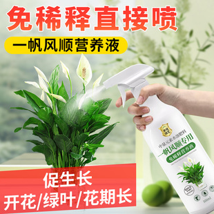 一帆风顺营养液花肥白掌水培盆栽植物营养液白鹤芋专用肥料