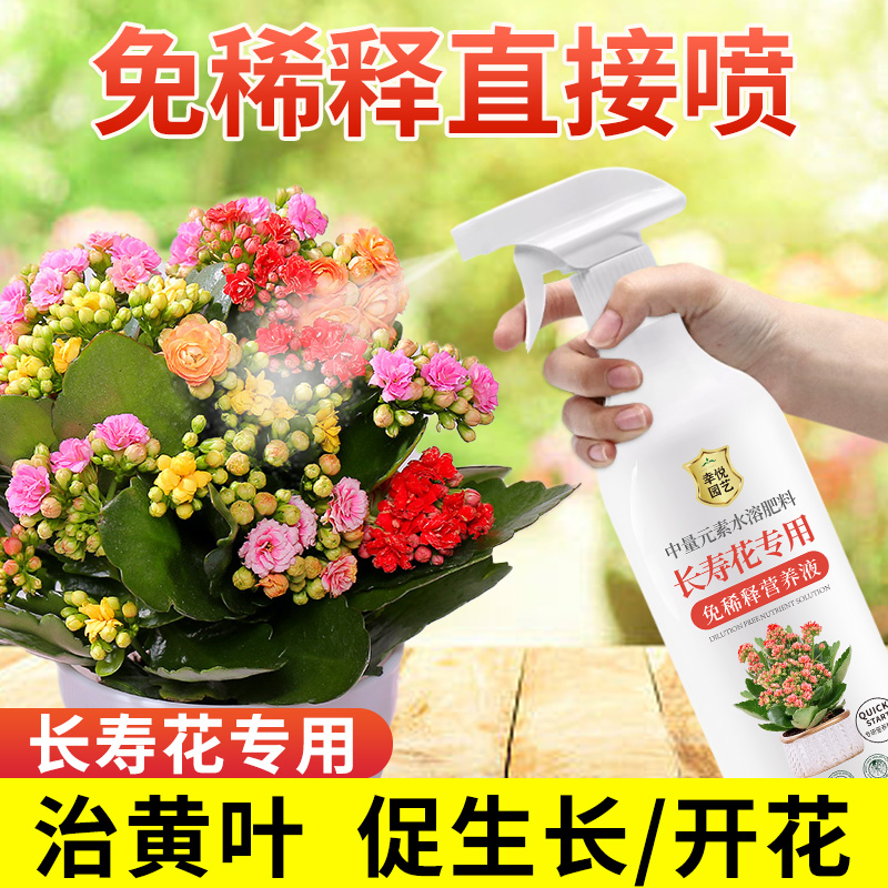 长寿花专用营养液免稀释促花肥