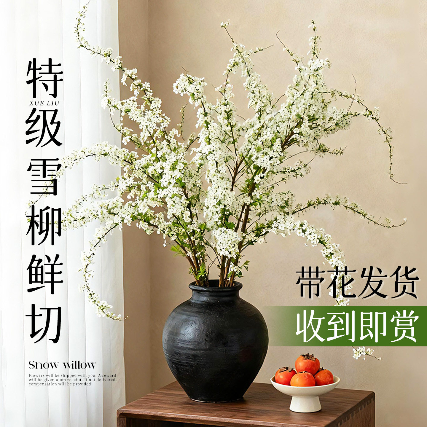 雪柳干枝鲜枝水养插花水培植物鲜花卉室内盆栽带花苞绿植好养活