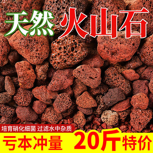 优质精洗火山石鱼缸专用大颗粒