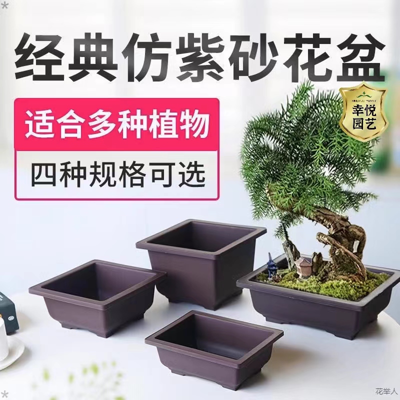 仿紫砂花盆超大长方形塑料花盆黑方多肉矮盆种植盆景育苗生石花盆