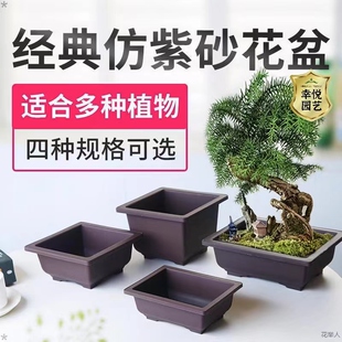 仿紫砂花盆超大长方形塑料花盆黑方多肉矮盆种植盆景育苗生石花盆