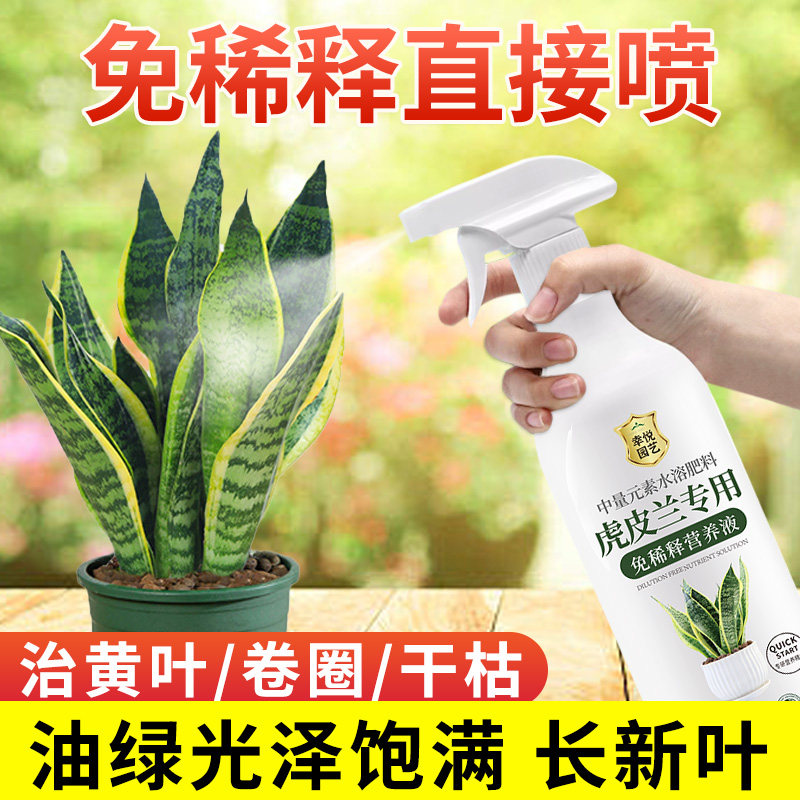 虎皮兰专用营养液治黄叶卷边金边虎皮兰肥料盆栽叶面液体水溶肥,鲜花速递/花卉仿真/绿植园艺,家庭园艺肥料,淘宝优惠券,粉丝福利购,淘宝优惠卷