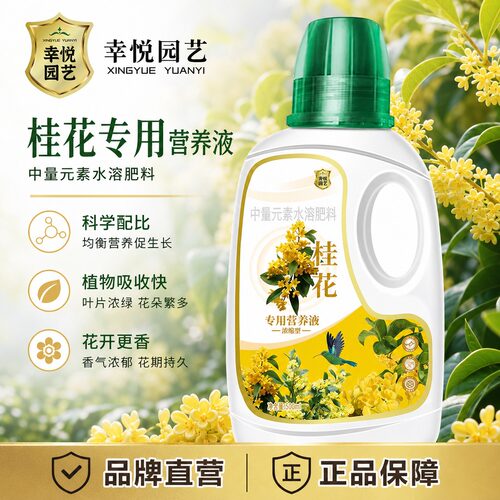 桂花专用营养液桂花树肥料专用肥