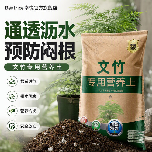 文竹专用土花土营养土云竹土壤