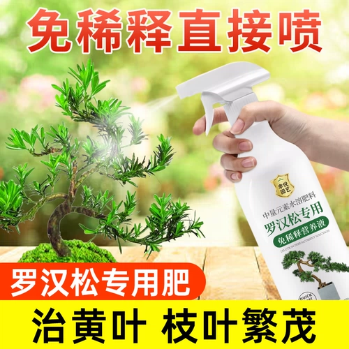 Симптомы питания Luo Han Song не разбавляют удобрения цветочных удобрений.