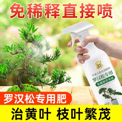 罗汉松营养液免稀释专用肥料花肥