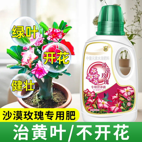 沙漠玫瑰专用营养液增强涨势