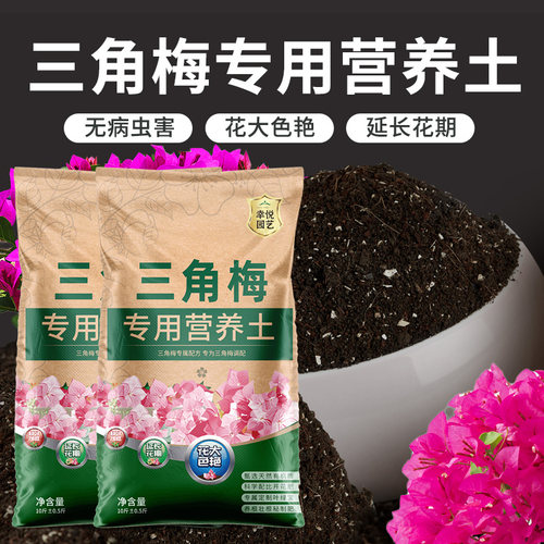 三角梅专用土营养土花色好花期长